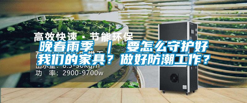 晚春雨季 ｜ 要怎么守护好我们的家具？做好防潮工作？