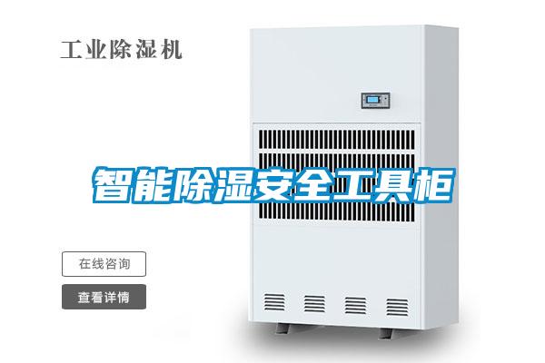 智能除湿安全工具柜