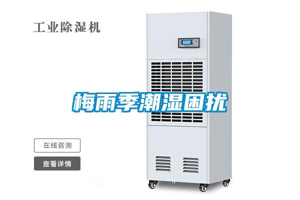 梅雨季潮湿困扰