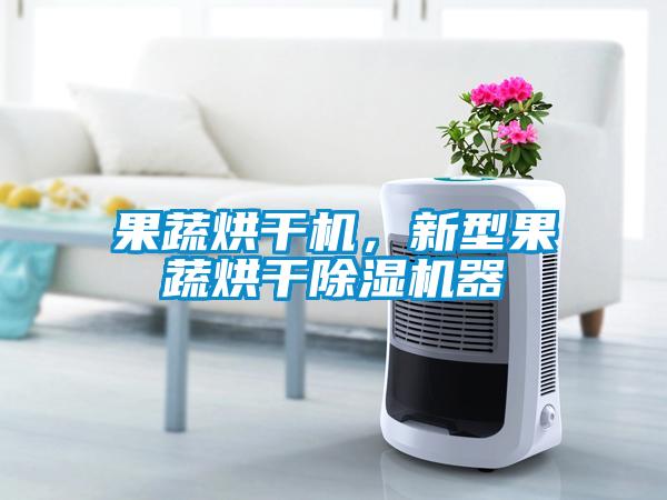 果蔬烘干机，新型果蔬烘干除湿机器