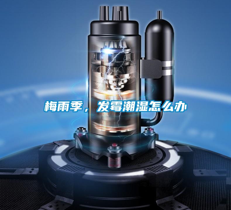 梅雨季，发霉潮湿怎么办