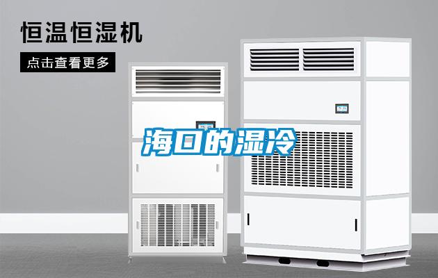 海口的湿冷