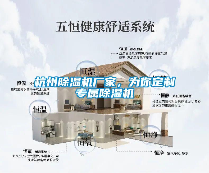 杭州除湿机厂家，为你定制专属除湿机