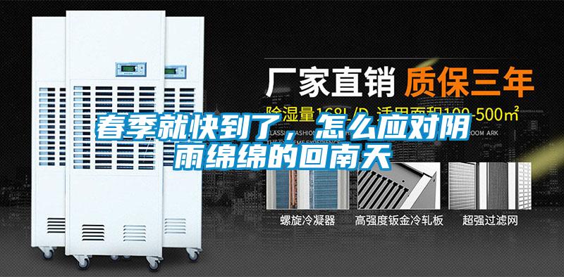 春季就快到了，怎么应对阴雨绵绵的回南天