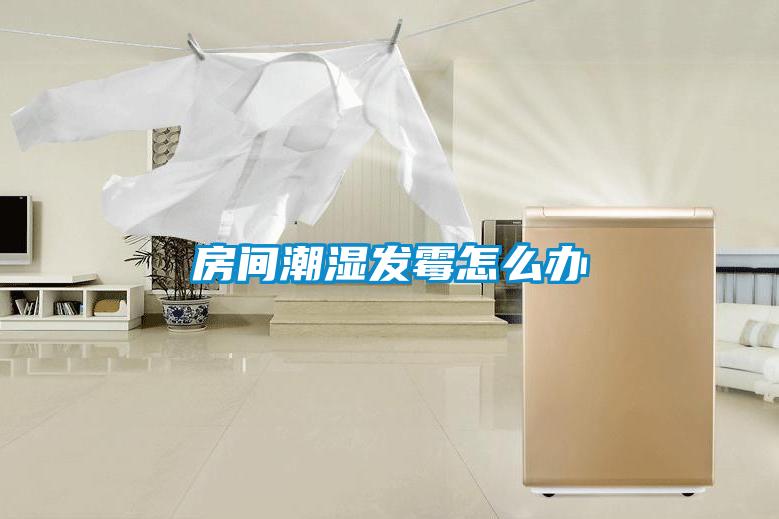 房间潮湿发霉怎么办