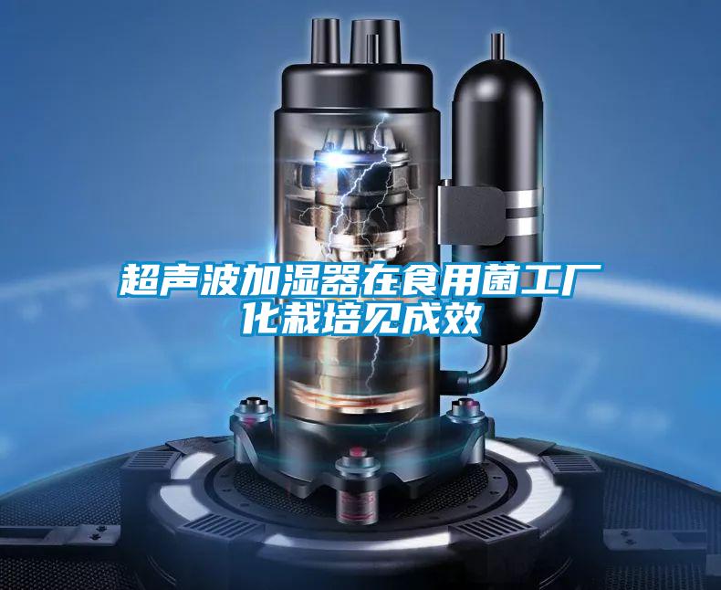 超声波加湿器在食用菌工厂化栽培见成效