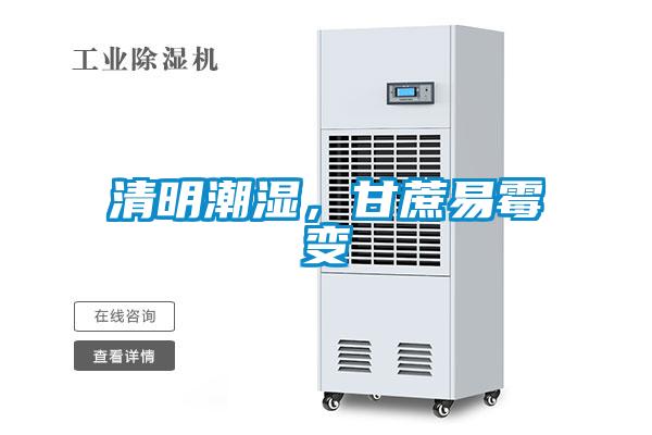 清明潮湿，甘蔗易霉变