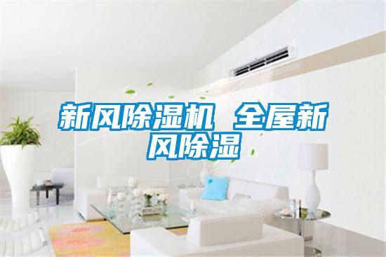 新风除湿机 全屋新风除湿