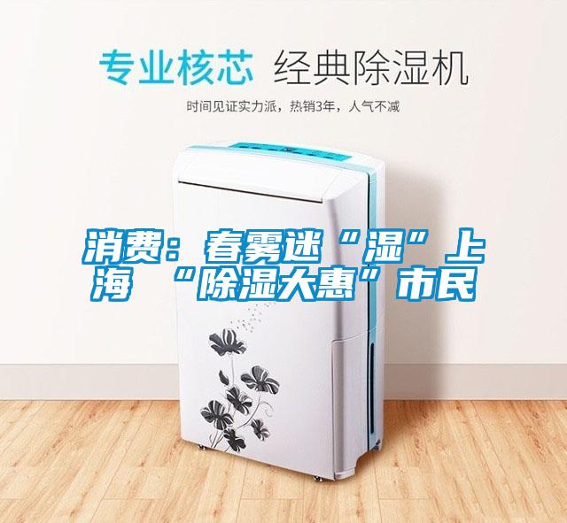 消费:春雾迷“湿”上海 “除湿大惠”市民