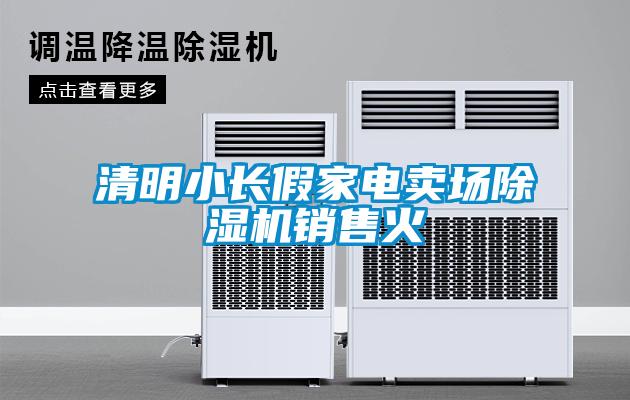 清明小长假家电卖场除湿机销售火