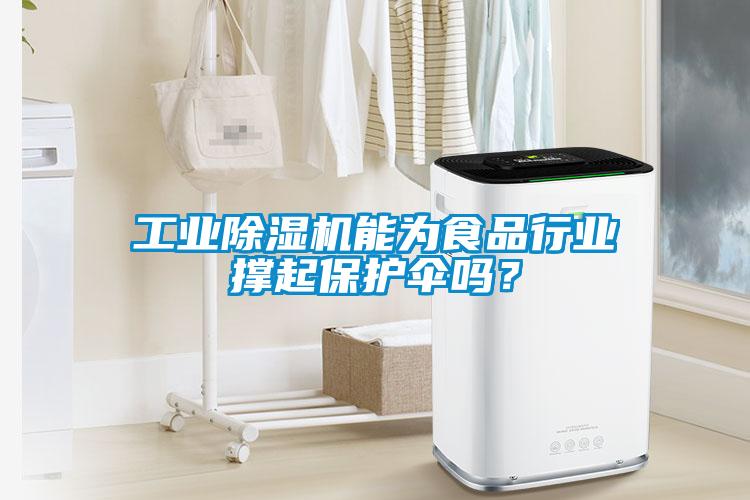 工业除湿机能为食品行业撑起保护伞吗？
