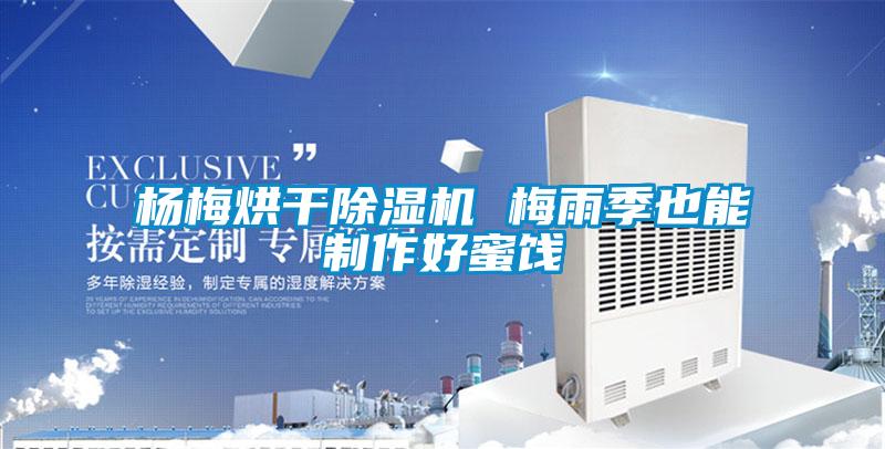 杨梅烘干除湿机 梅雨季也能制作好蜜饯