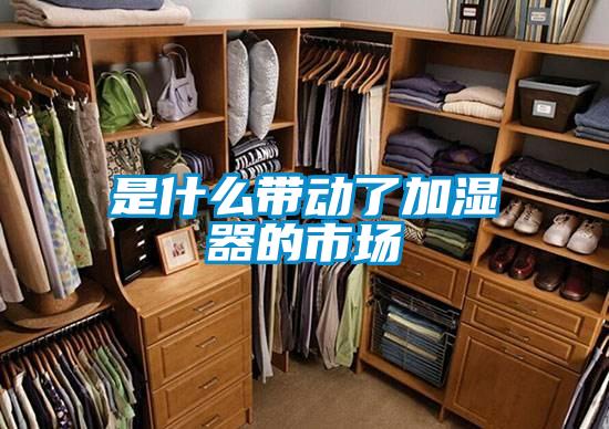 是什么带动了加湿器的市场