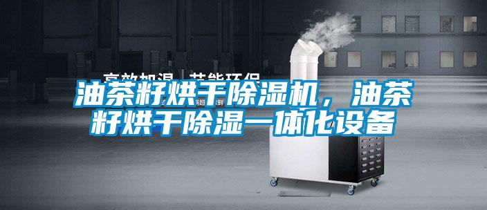 油茶籽烘干除湿机，油茶籽烘干除湿一体化设备