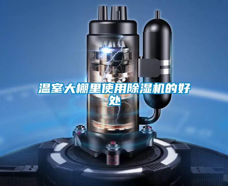 温室大棚里使用除湿机的好处