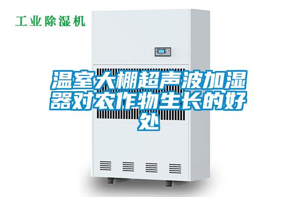 温室大棚超声波加湿器对农作物生长的好处