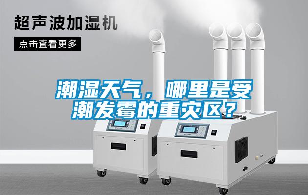 潮湿天气，哪里是受潮发霉的重灾区？