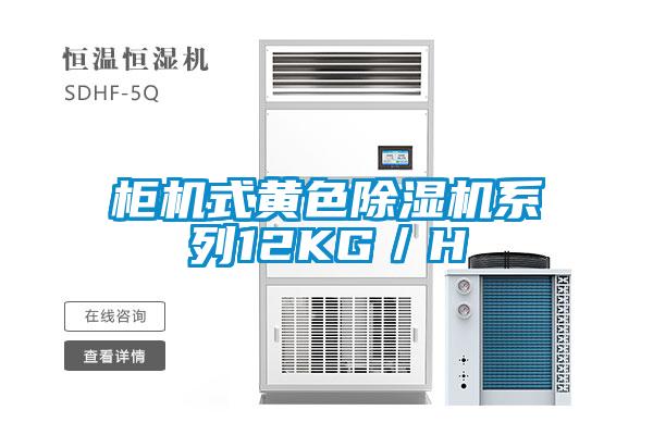 柜机式黄色除湿机系列12KG／H