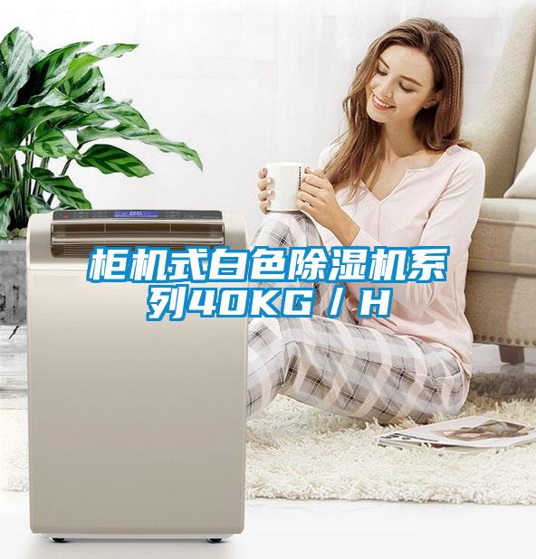 柜机式白色除湿机系列40KG／H