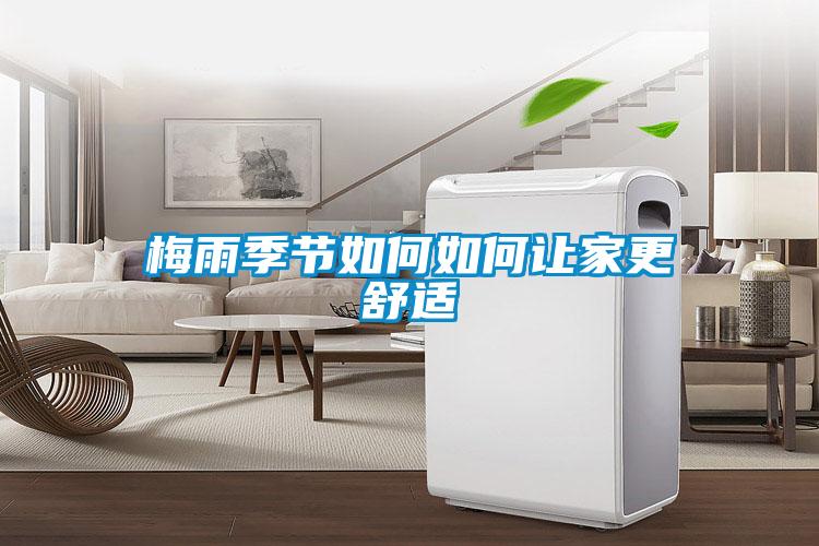 梅雨季节如何如何让家更舒适