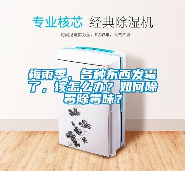 梅雨季，各种东西发霉了，该怎么办？如何除霉除霉味？