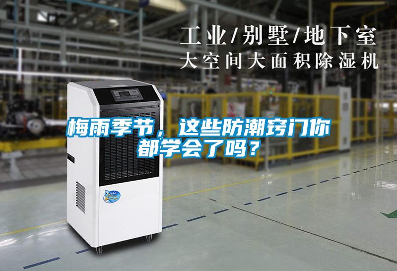 梅雨季节，这些防潮窍门你都学会了吗？
