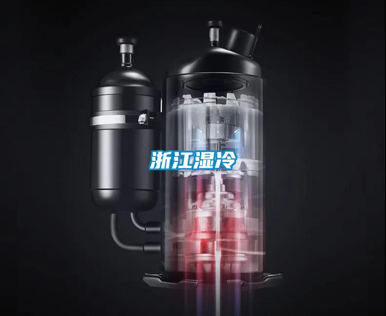 浙江湿冷