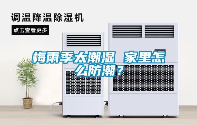 梅雨季太潮湿 家里怎么防潮？