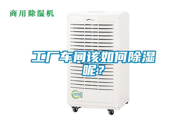 工厂车间该如何除湿呢?