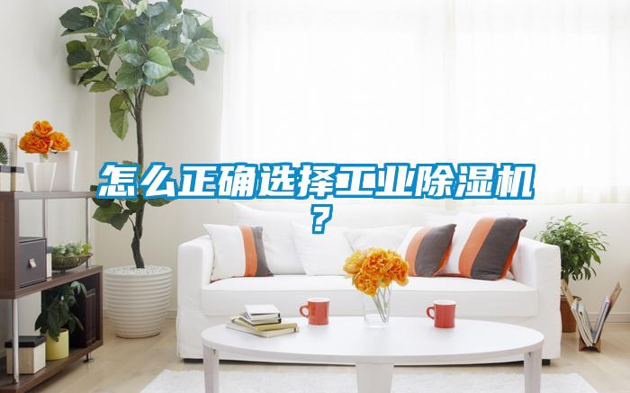 怎么正确选择工业除湿机？