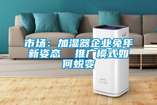 市场:加湿器企业兔年新姿态 推广模式如何蜕变