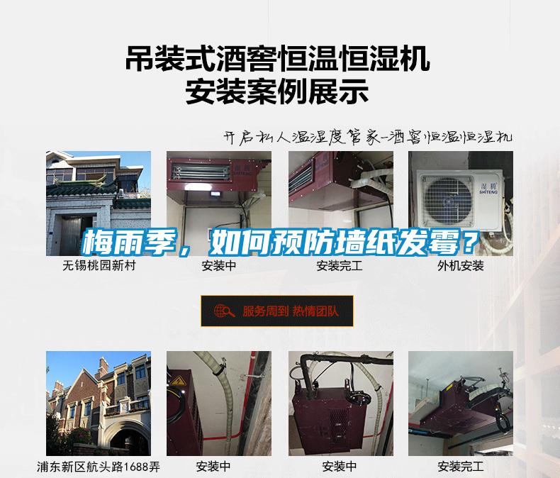 梅雨季，如何预防墙纸发霉？
