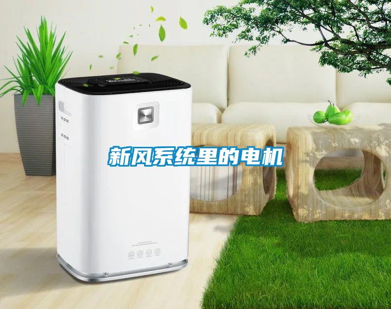 新风系统里的电机