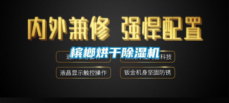 槟榔烘干除湿机