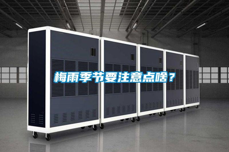 梅雨季节要注意点啥？