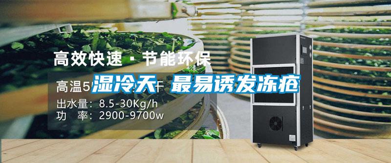 湿冷天 最易诱发冻疮