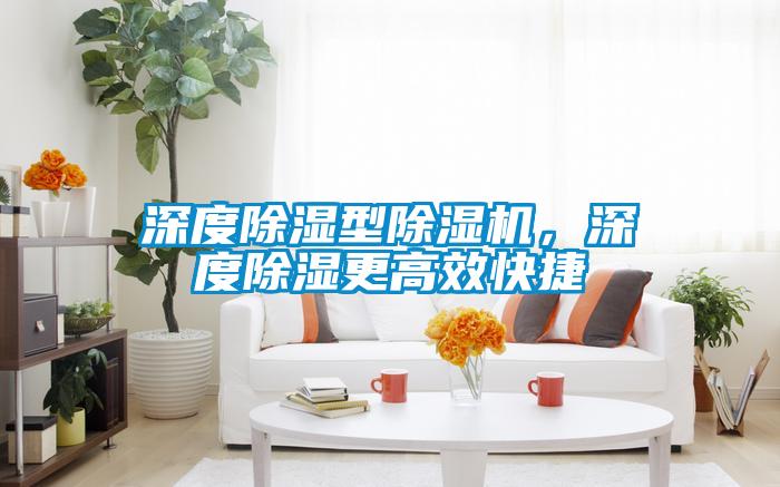 深度除湿型除湿机，深度除湿更高效快捷