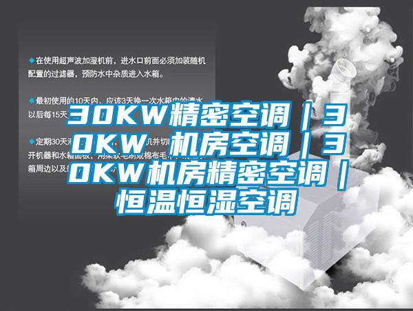 30KW精密空调｜30KW 机房空调｜30KW机房精密空调｜恒温恒湿空调