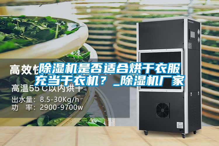 除湿机是否适合烘干衣服充当干衣机？_除湿机厂家