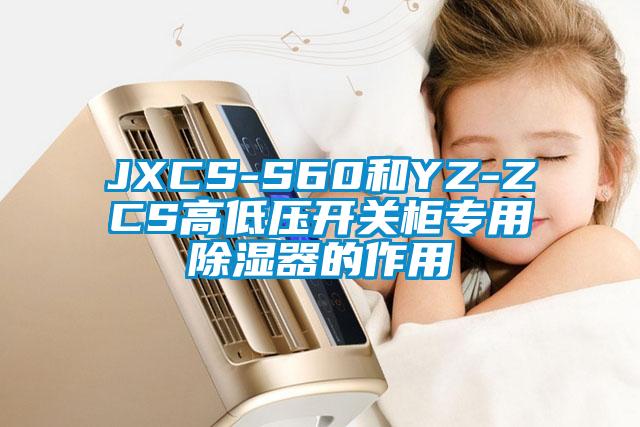 JXCS-S60和YZ-ZCS高低压开关柜专用除湿器的作用