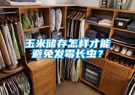 玉米储存怎样才能避免发霉长虫？