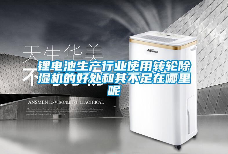 锂电池生产行业使用转轮除湿机的好处和其不足在哪里呢