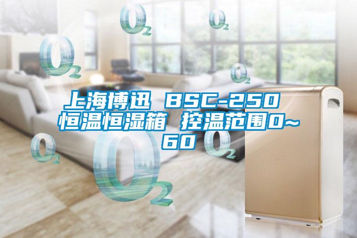 上海博迅 BSC-250 恒温恒湿箱 控温范围0~60℃
