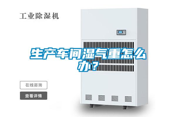 生产车间湿气重怎么办?