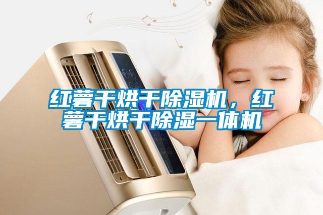 红薯干烘干除湿机，红薯干烘干除湿一体机