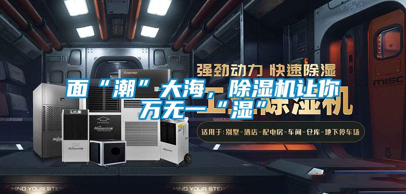 面“潮”大海,除湿机让你万无一“湿”