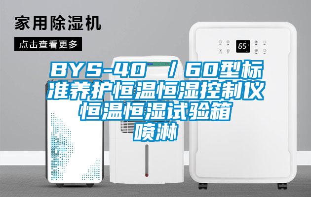 BYS-40 ／60型标准养护恒温恒湿控制仪  恒温恒湿试验箱  喷淋