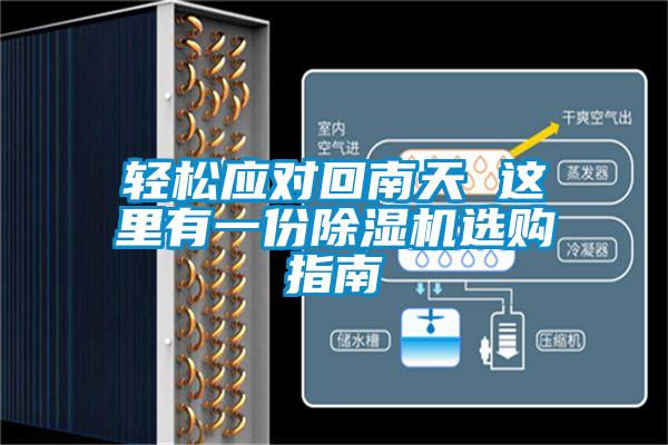 轻松应对回南天 这里有一份除湿机选购指南
