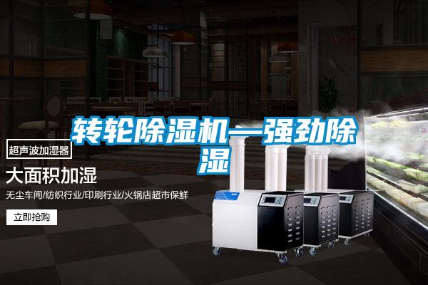 转轮除湿机—强劲除湿