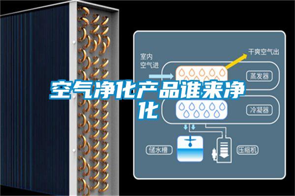 空气净化产品谁来净化